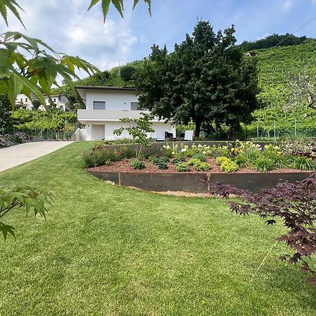 Farra di Soligo El Zhigol B&B מראה חיצוני תמונה
